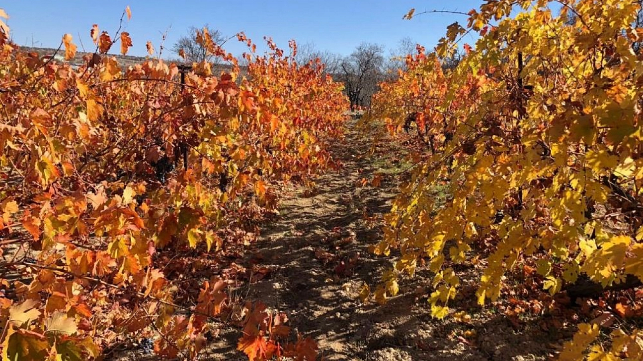 Sonbaharın altın tonları Arapgir'e hayran bırakıyor