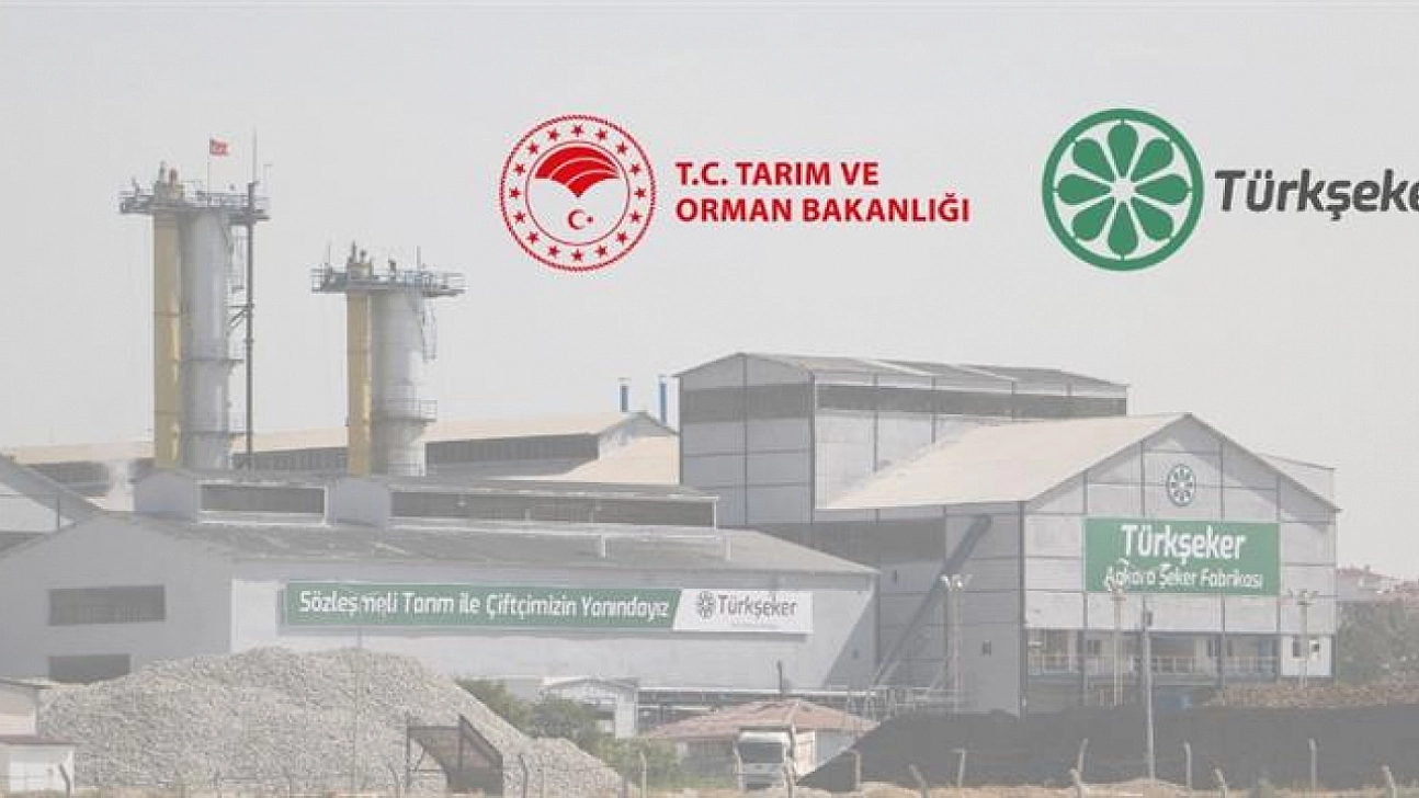 TÜRKŞEKER 182 sürekli işçi alımı başladı: Başvuru şartları ve kontenjan dağılımı