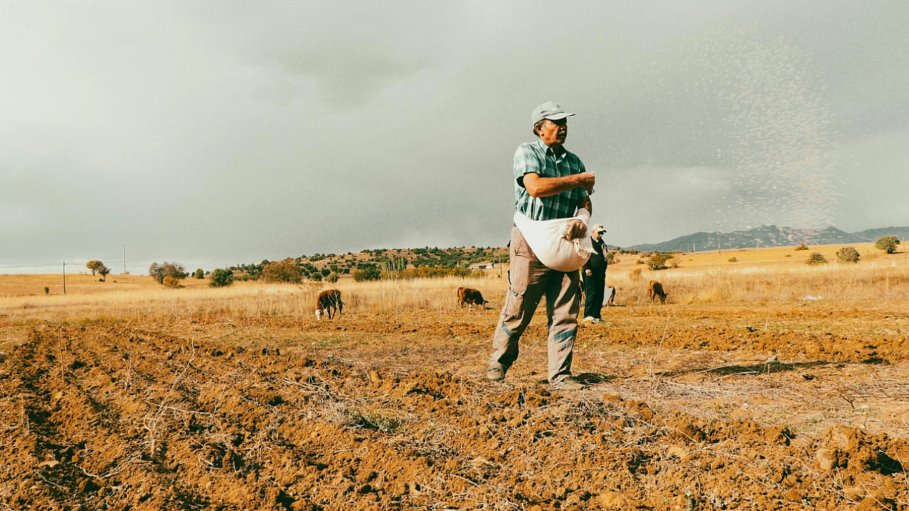 Üreticilere kritik uyarı! Tohumlara dikkat!