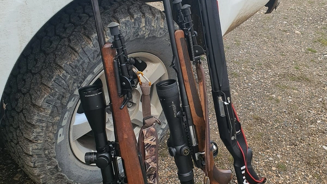 Yaban keçisi vurmanın cezası ağır oldu