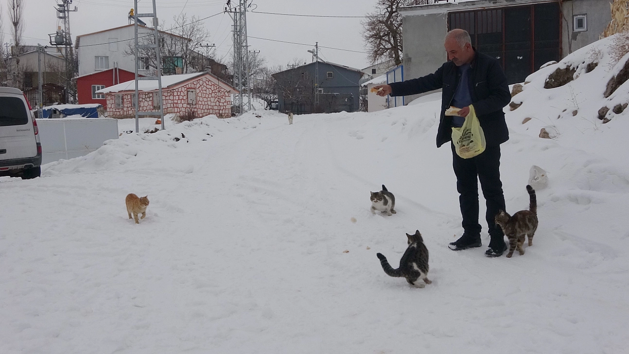 Yaklaşık 2 bin nüfuslu köyde kışın sadece bir aile yaşıyor