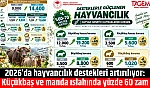 2026'da hayvancılık destekleri artırılıyor: Küçükbaş ve manda ıslahında yüzde 60 zam