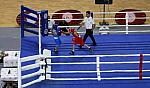 781 genç sporcu şampiyonluk için ringde