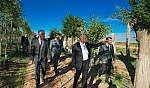 Malatya'da kesilmedi, taşındı: Ağaçların yüzde 80'i yeniden yeşerdi