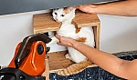 Malatya'da posta kutusundan mektup değil kedi çıktı!