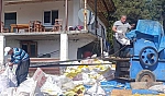 Mısır hasadı tamamlandı: Brandalarda kurutma mesaisi başladı