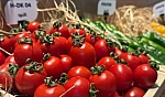 Tarladan markete vurgun operasyonu: 41 dağıtıcı firma yöneticisine gözaltı!