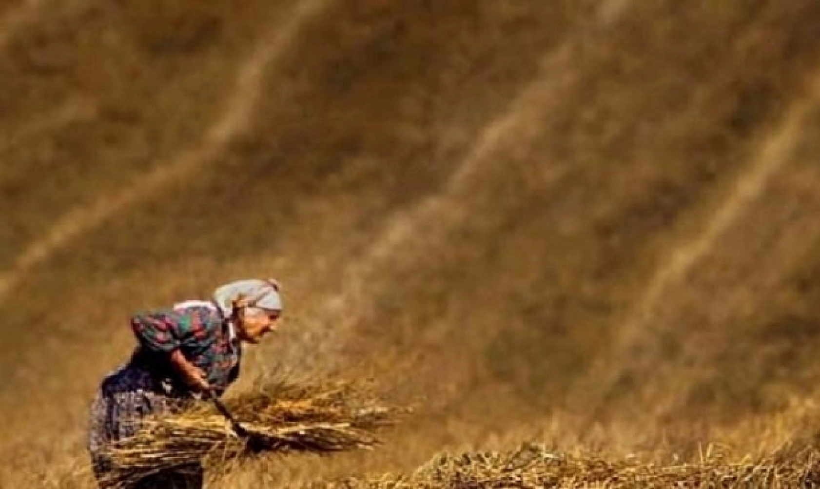 Malatya'da Tarımda Yeni Dönem! Yüzde 100 Mazot Desteği Geliyor!