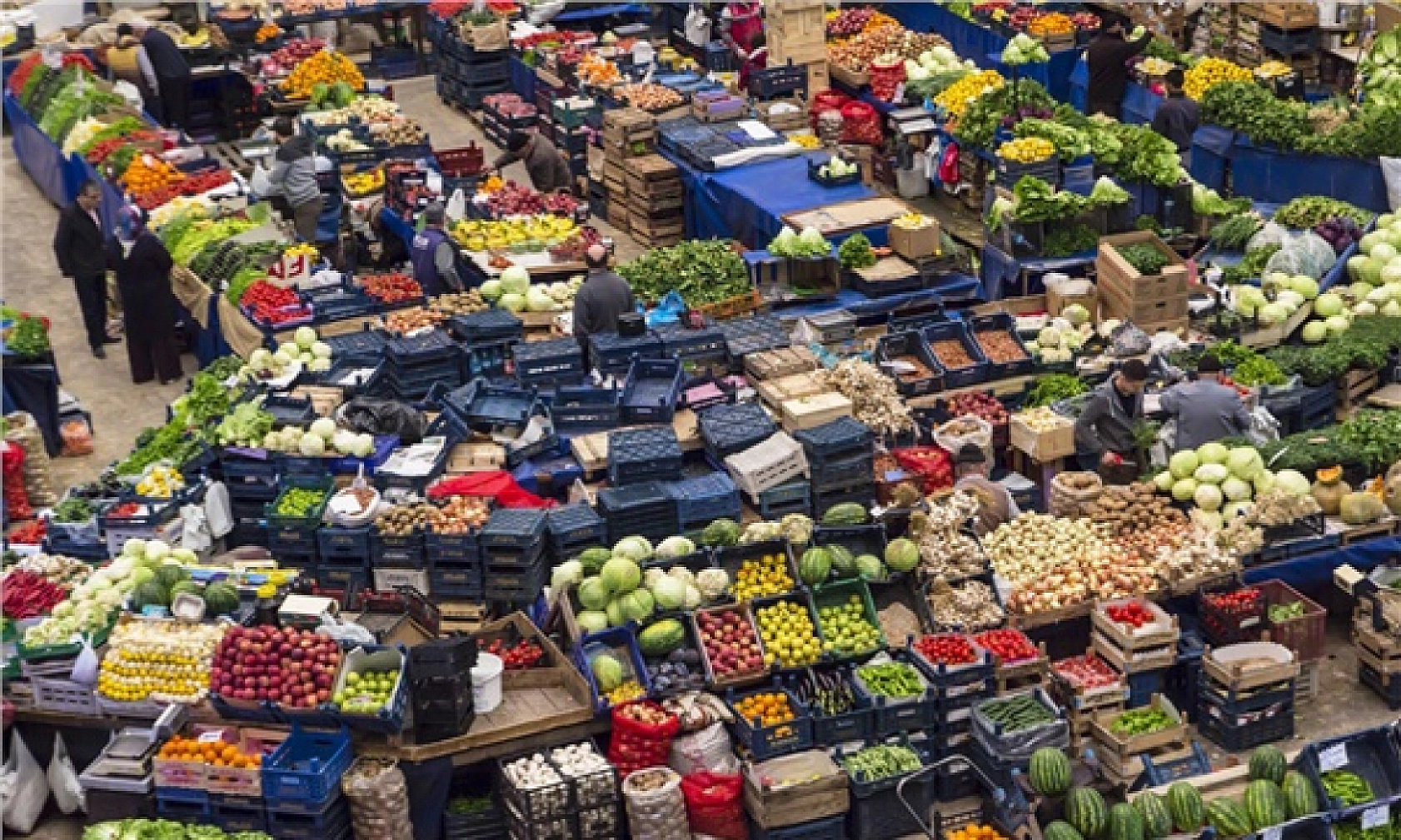 Malatya'da 5 Kasım Hal Fiyatları: Meyve-Sebze Fiyatları Ne Kadar? İşte Yanıtı…