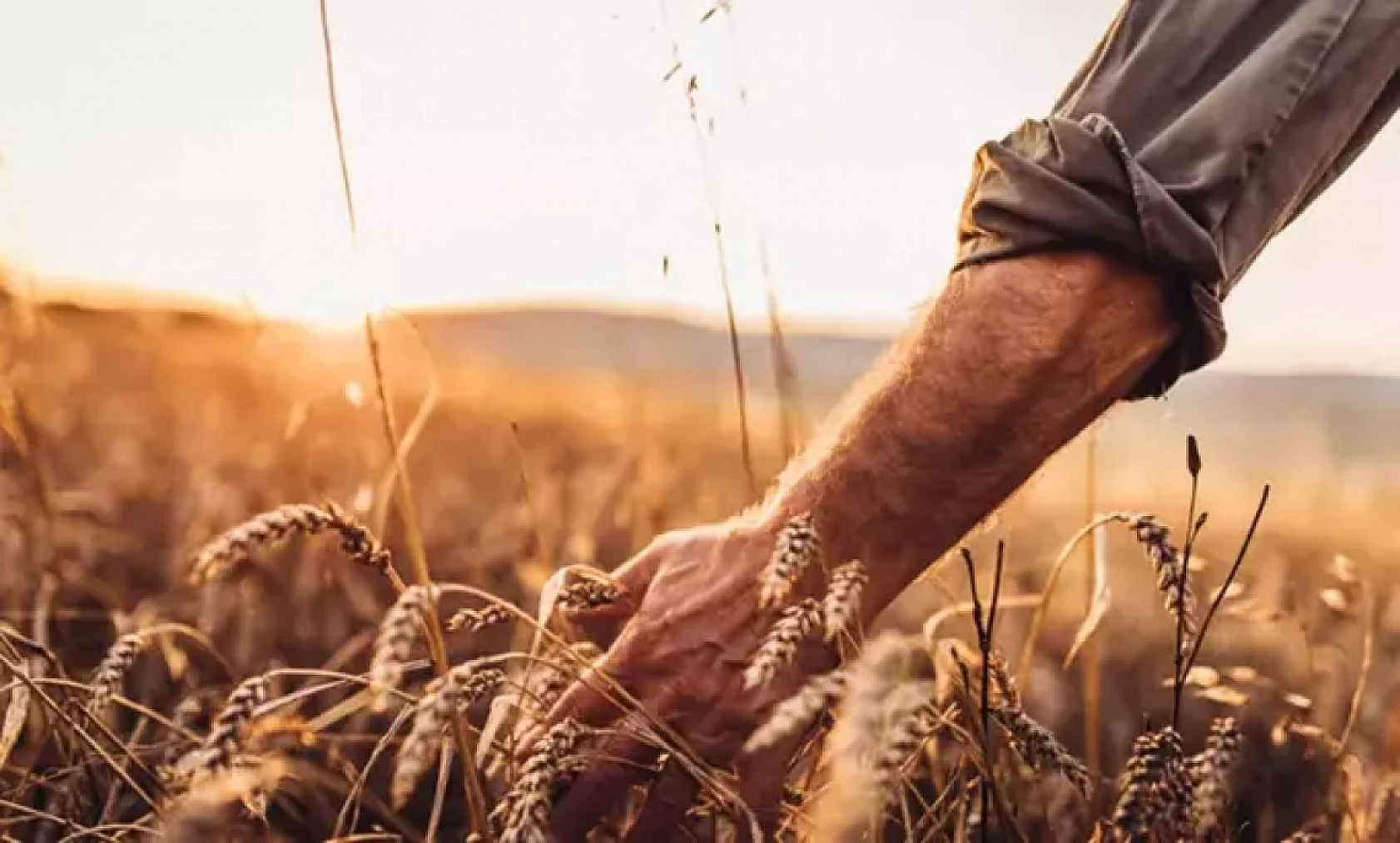 Malatya Valisi Destekleri Açıkladı! İşte Malatya'ya Deprem Sonrası Yapılan Destekler…
