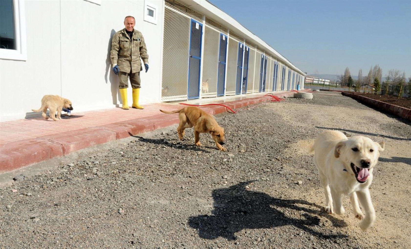 Malatya'da Bir İlk: Hastane Hizmete Girdi!