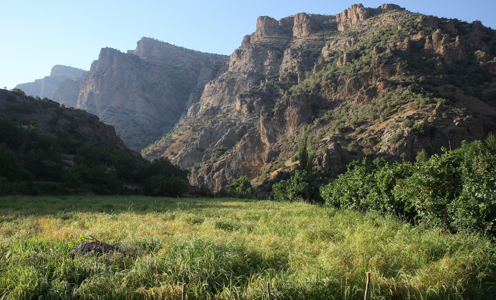 Hasat İçin Ayakta: Çukurcalı Çiftçiler Gece Gündüz Nöbette