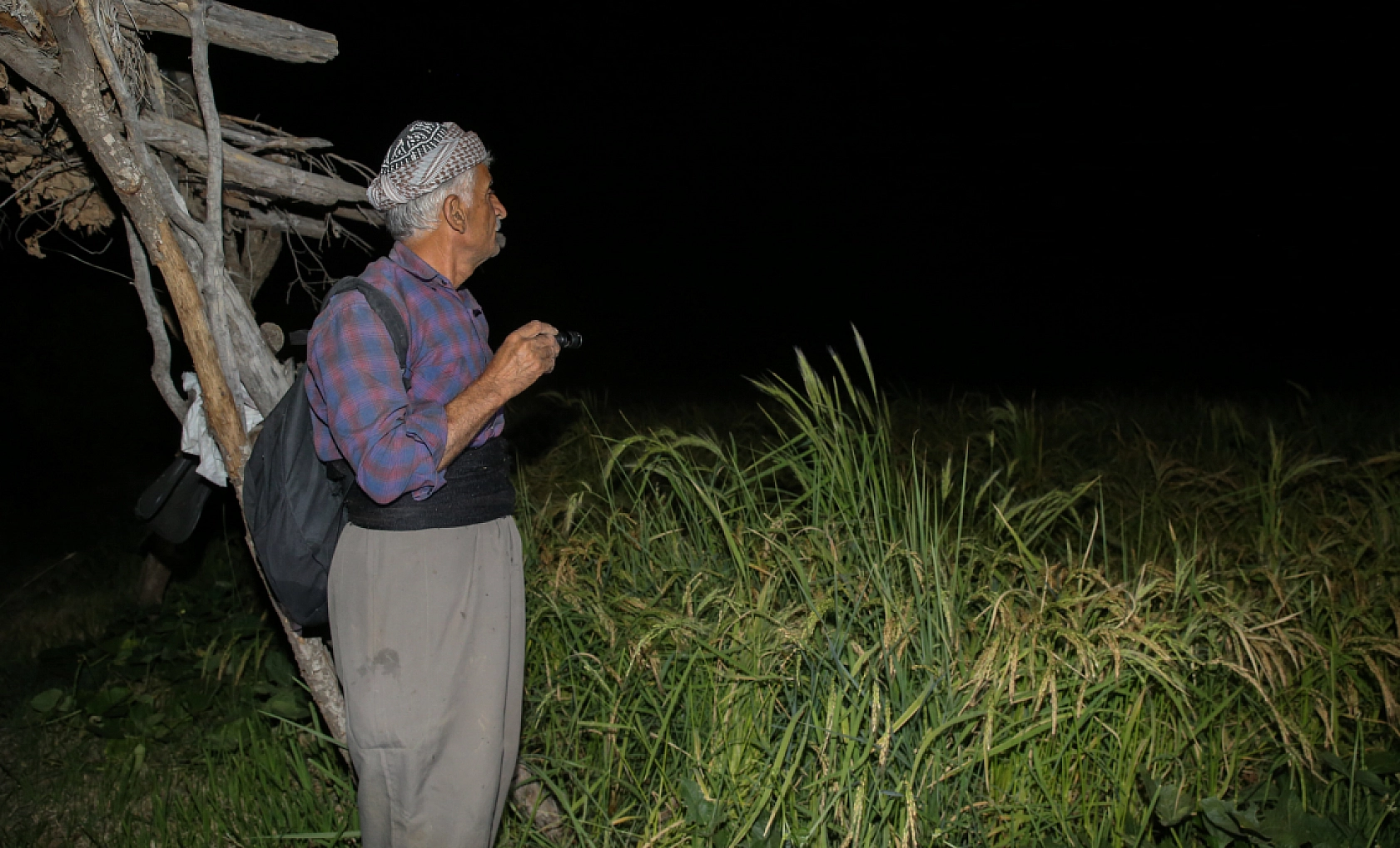Hasat İçin Ayakta: Çukurcalı Çiftçiler Gece Gündüz Nöbette