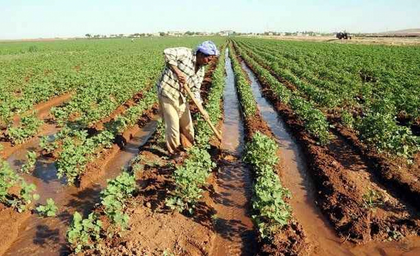Tarımda Yeni Dönem: Tasarruf Artacak!