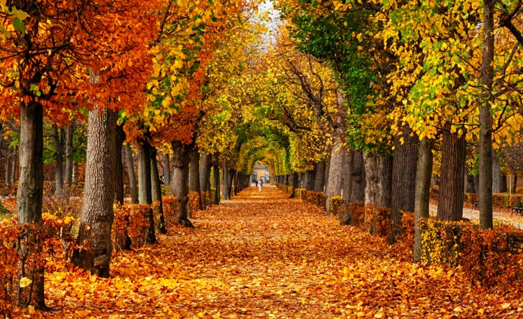 Malatya'da hava nasıl olacak, yağış var mı?