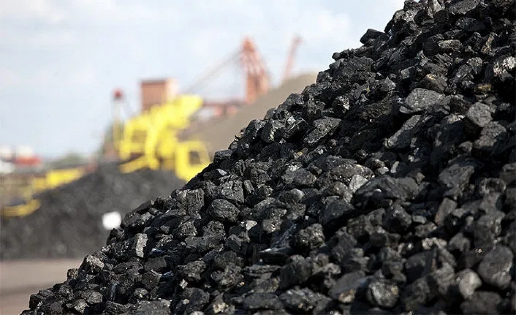 Malatya'da Dağıtılmaya Başlandı! Her Aileye 50'şer Torba Verilecek!