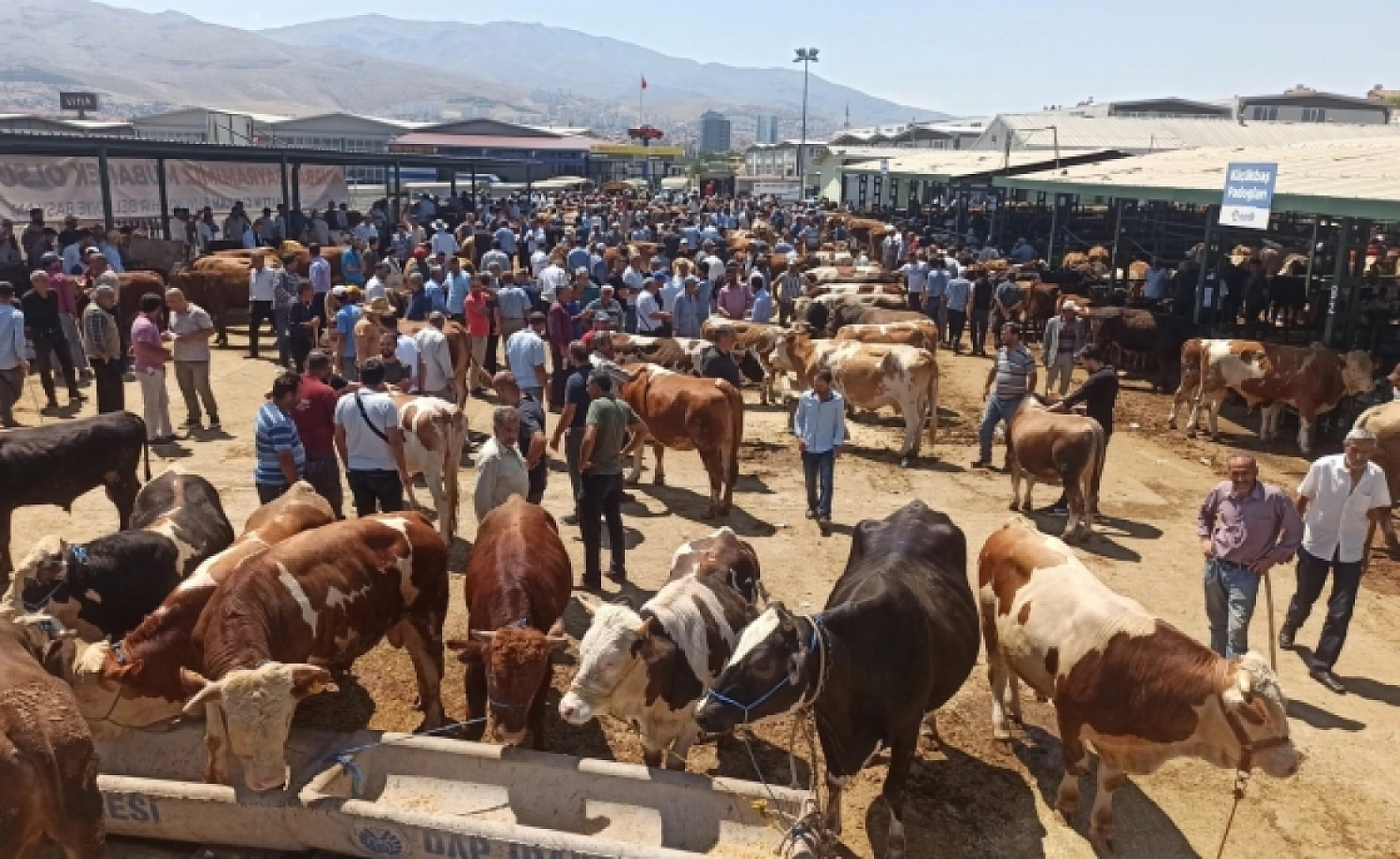 Satılamayanları ESK Alacak, Ödemeler 3 Günde Tamamlanacak!