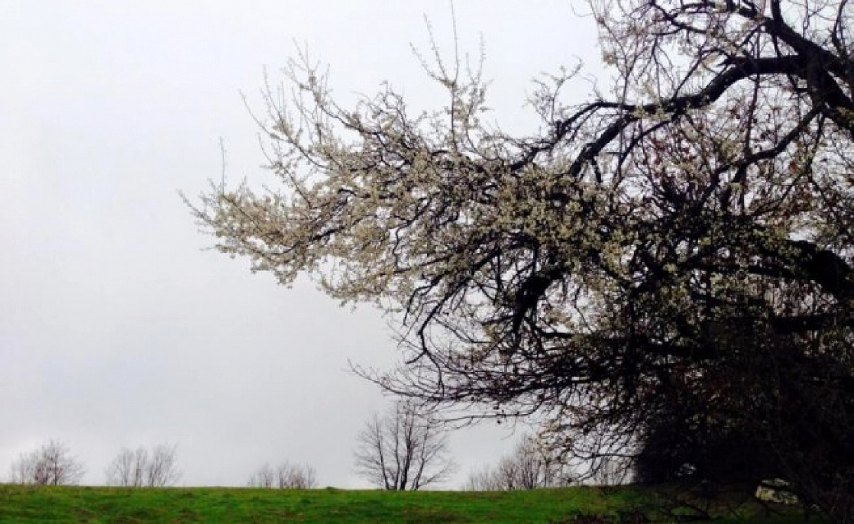 En Soğuk ve En Sıcak İller Belli Oldu! İşte Detaylar...