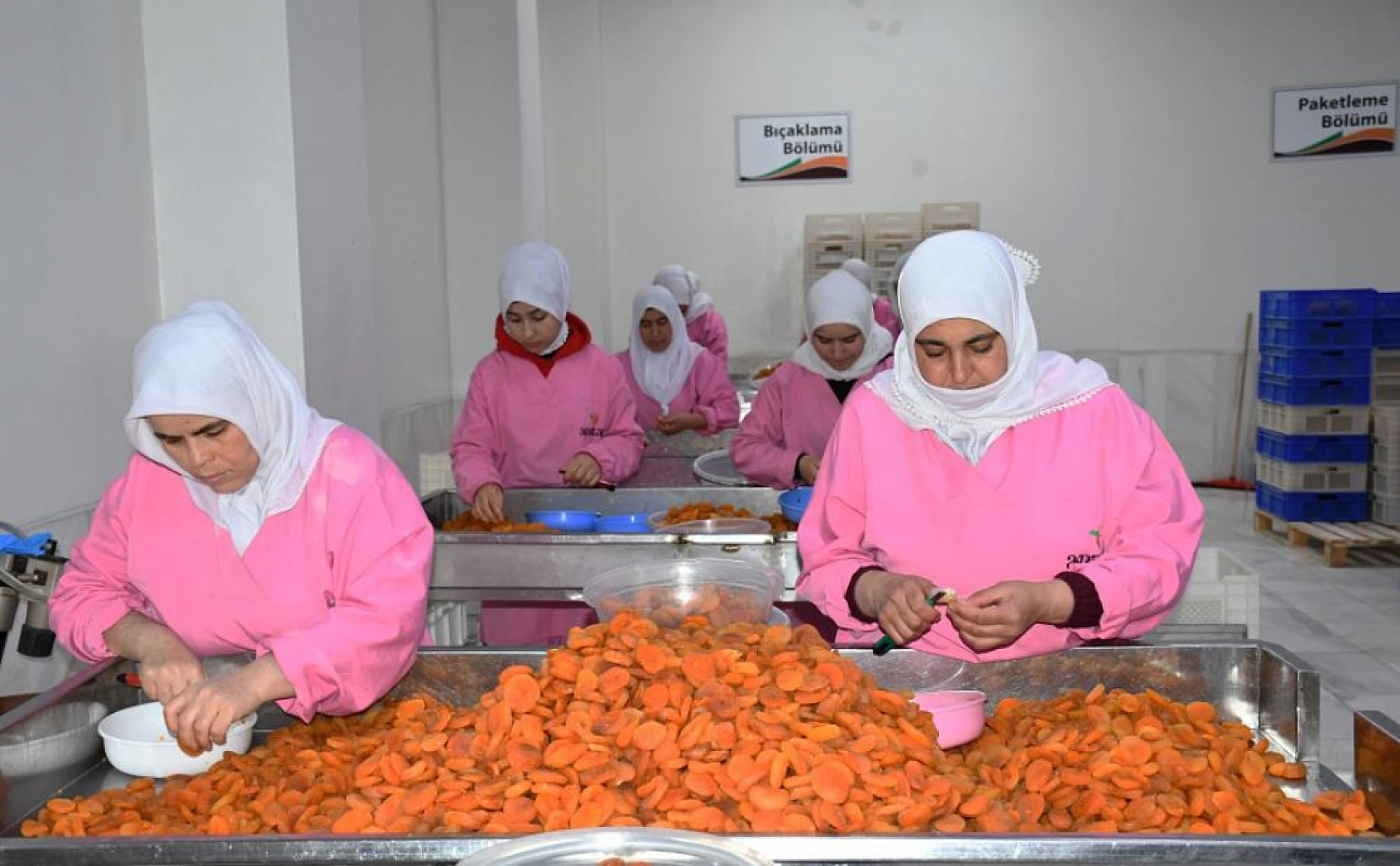 Don vurdu, stoklar kurtardı: Malatya'da 6 ayda 150 milyon dolar kazanç