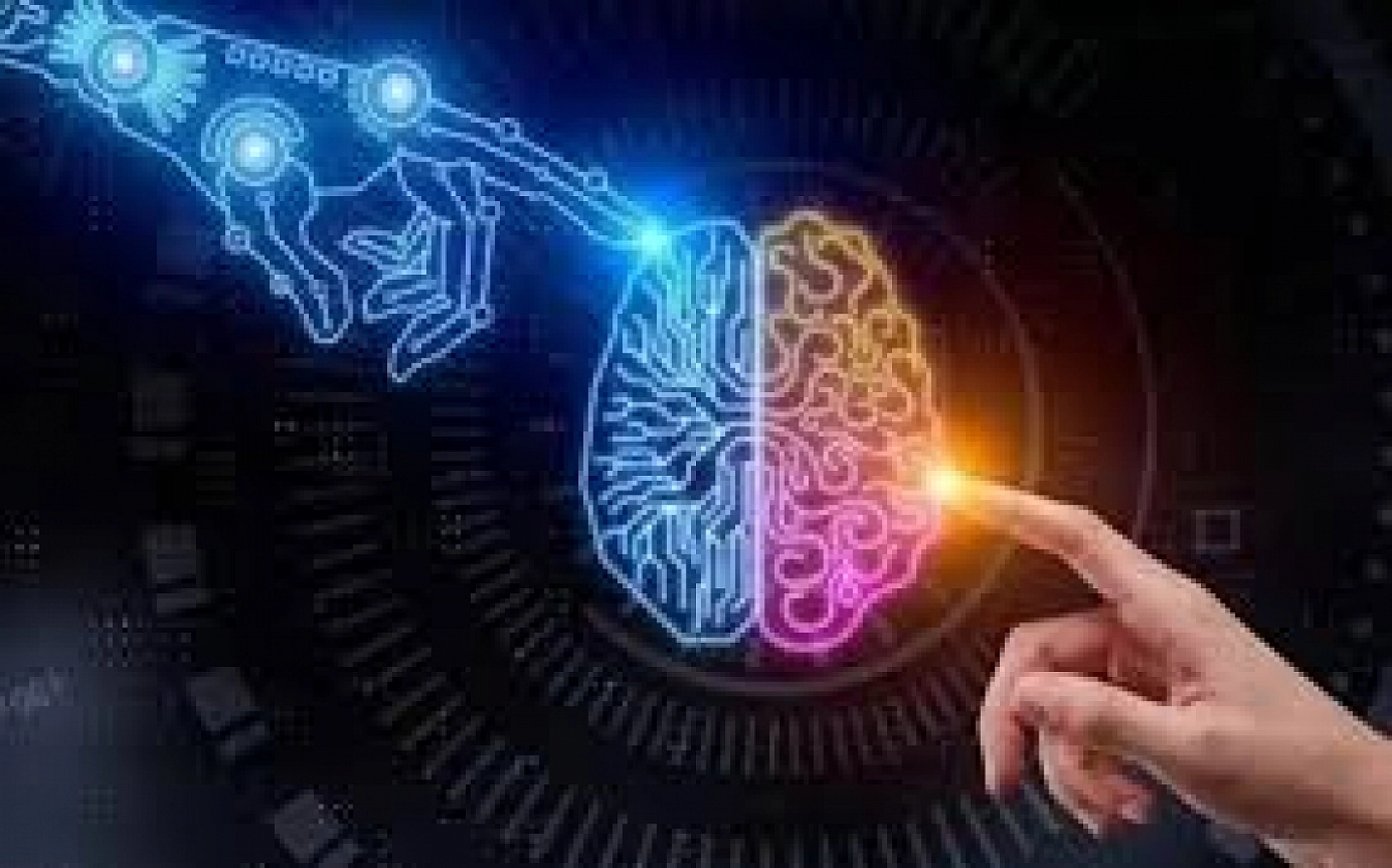 Türkiye'nin IQ Seviyeleri Açıklandı: Peki, Malatya Kaçıncı Sırada?