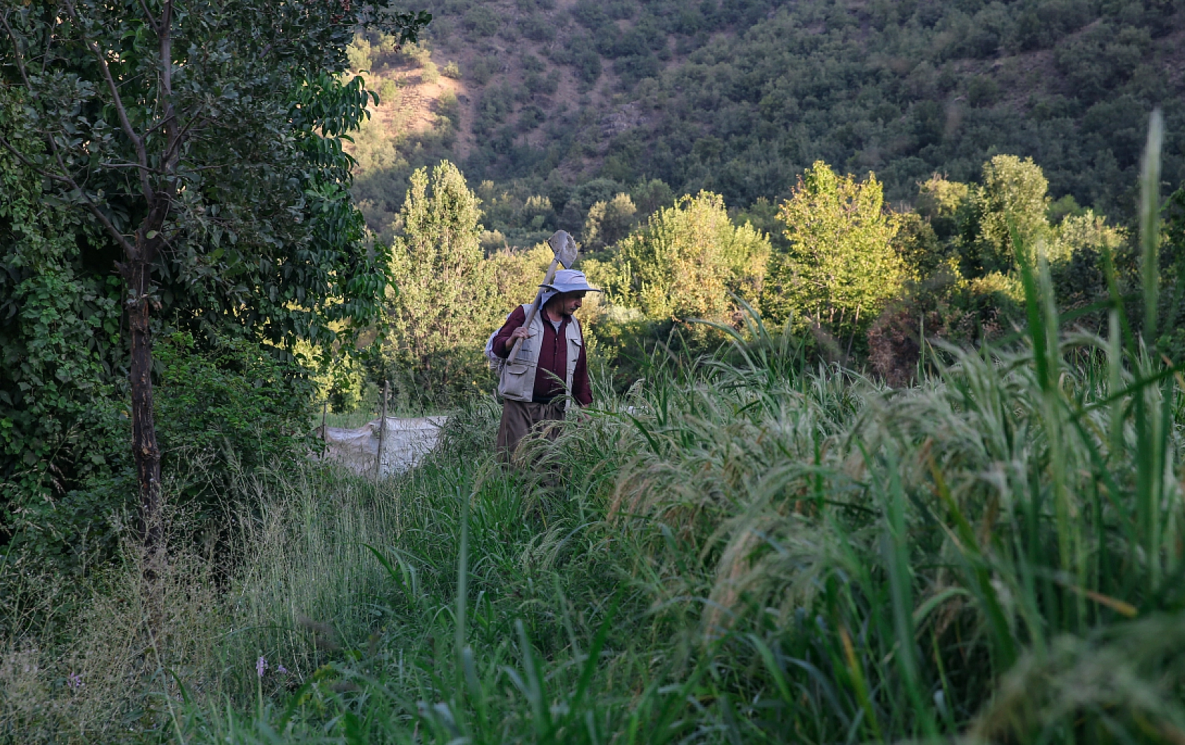 Hasat İçin Ayakta: Çukurcalı Çiftçiler Gece Gündüz Nöbette