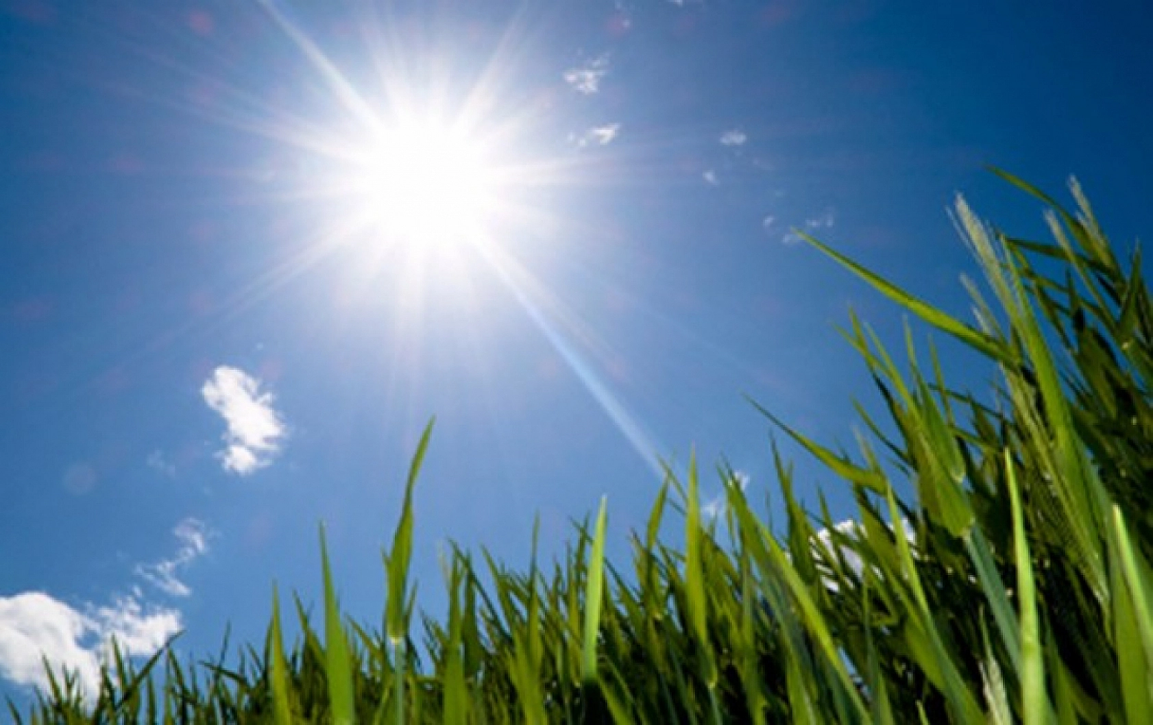 Malatya'da kavurucu sıcaklar: Termometreler 39 dereceyi gördü