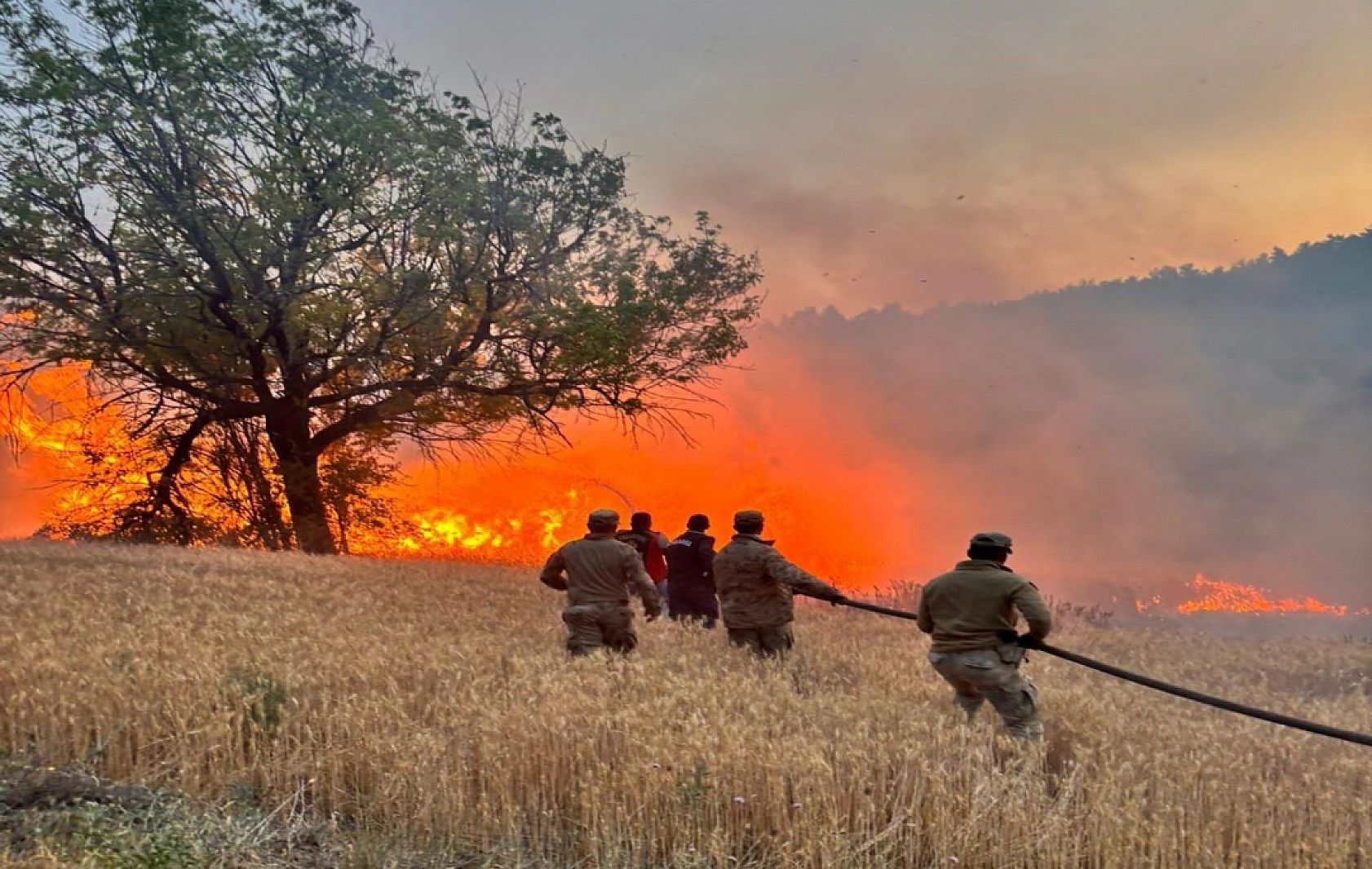 Erdoğan'dan 81 İl İçin Yeni Afet Planı: İller Tek Tek Ayrıldı... Hangi İl Nereye Bağlandı?