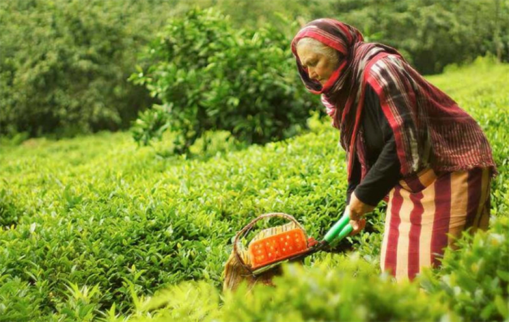Malatya'da Tarımda Yeni Dönem! Yüzde 100 Mazot Desteği Geliyor!