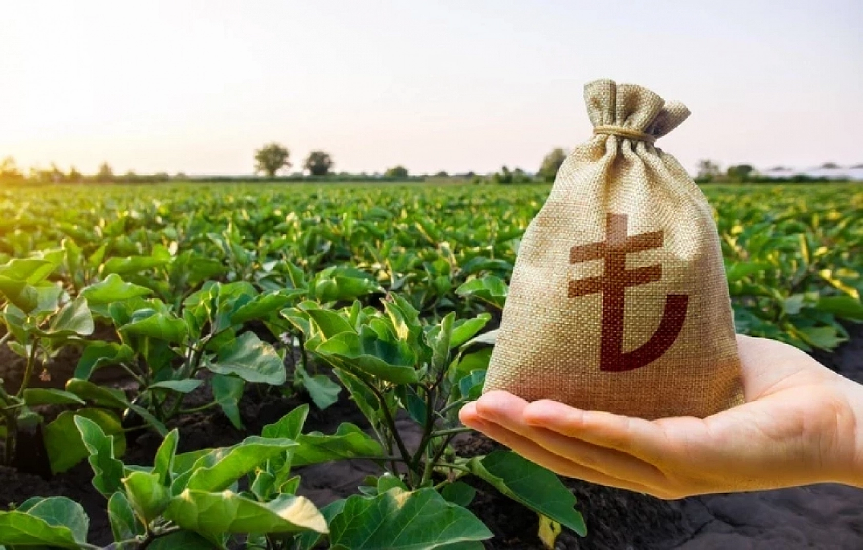 Malatyalılar dikkat: Hesaplarınızı kontrol edin ödemeler yatıyor…