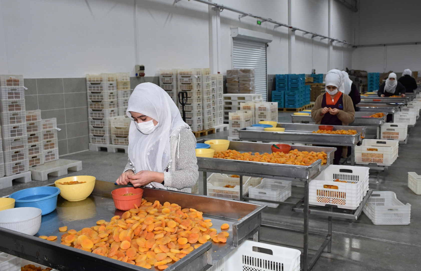 ABD, Rusya, Fransa ve Almanya'dan yoğun talep!