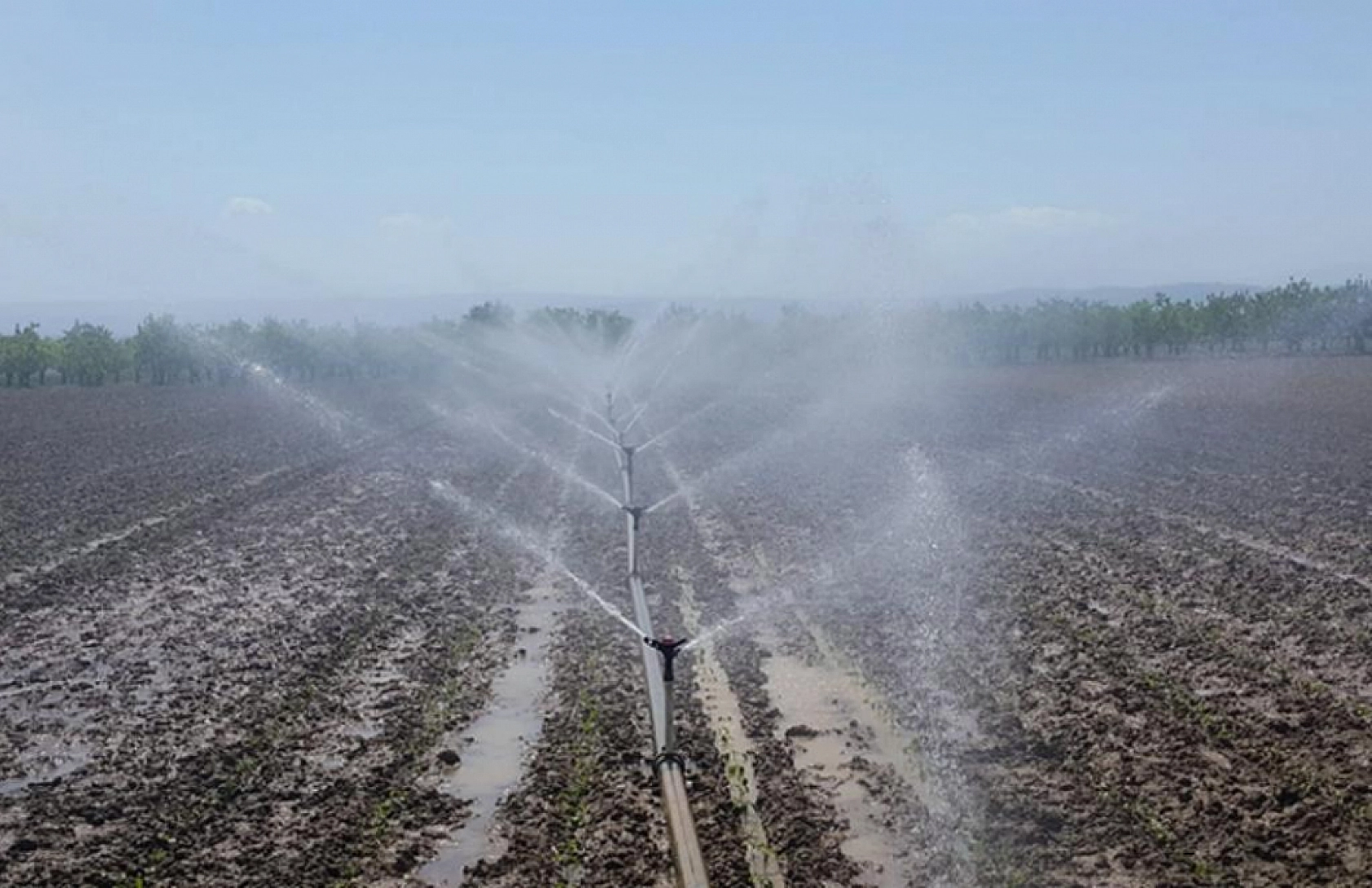Tarımda Yeni Dönem: Tasarruf Artacak!