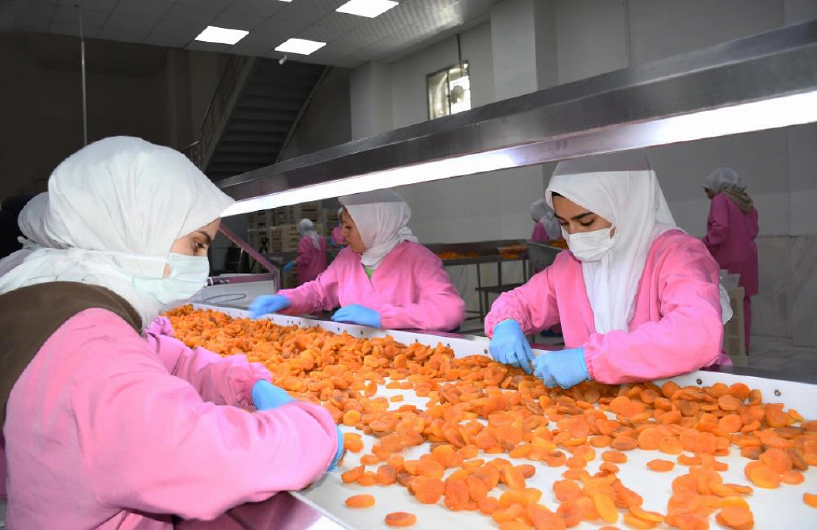 Don vurdu, stoklar kurtardı: Malatya'da 6 ayda 150 milyon dolar kazanç