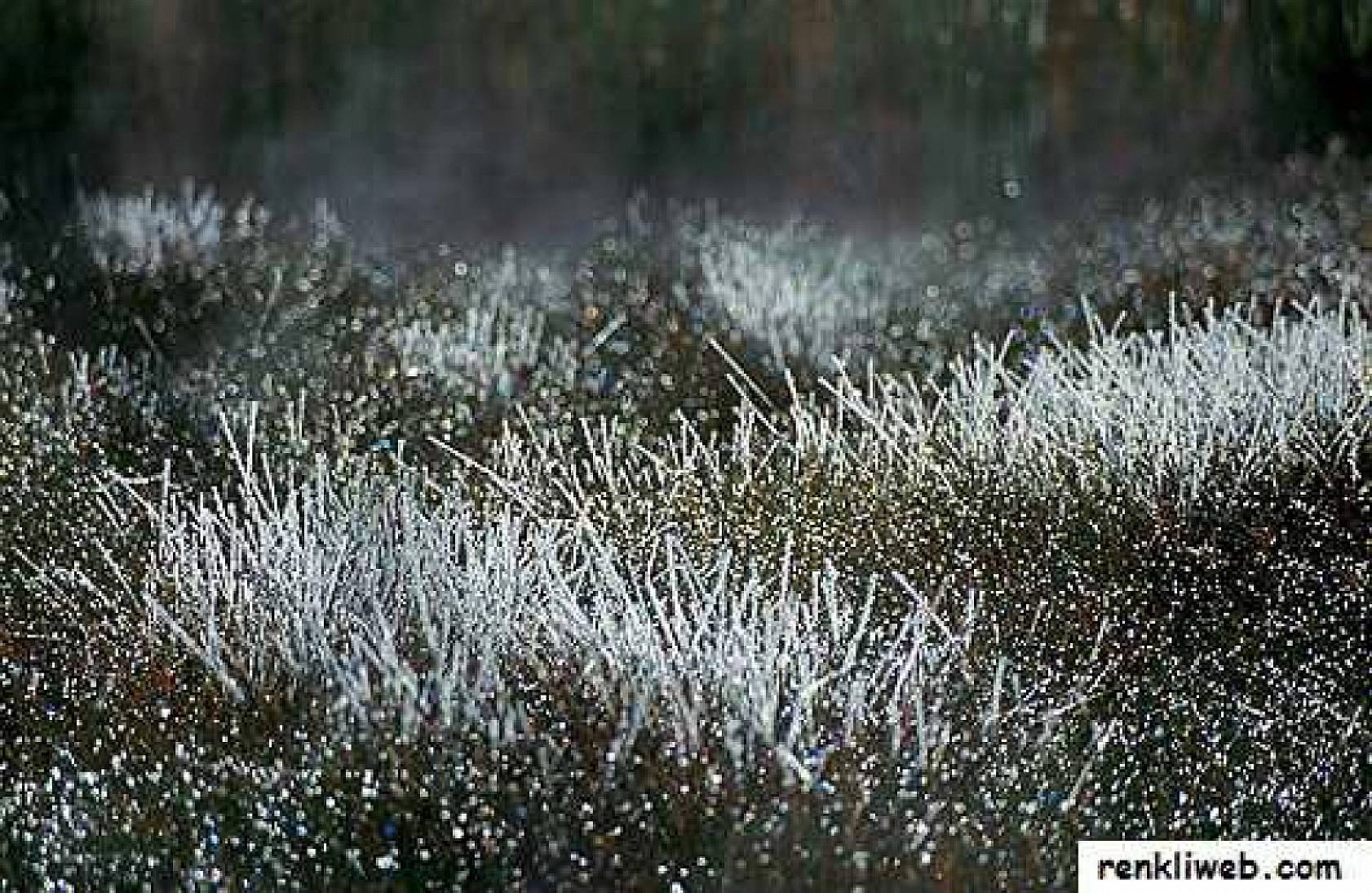 Malatyalılar Dikkat! O Saatte Yağmur Başlayacak...