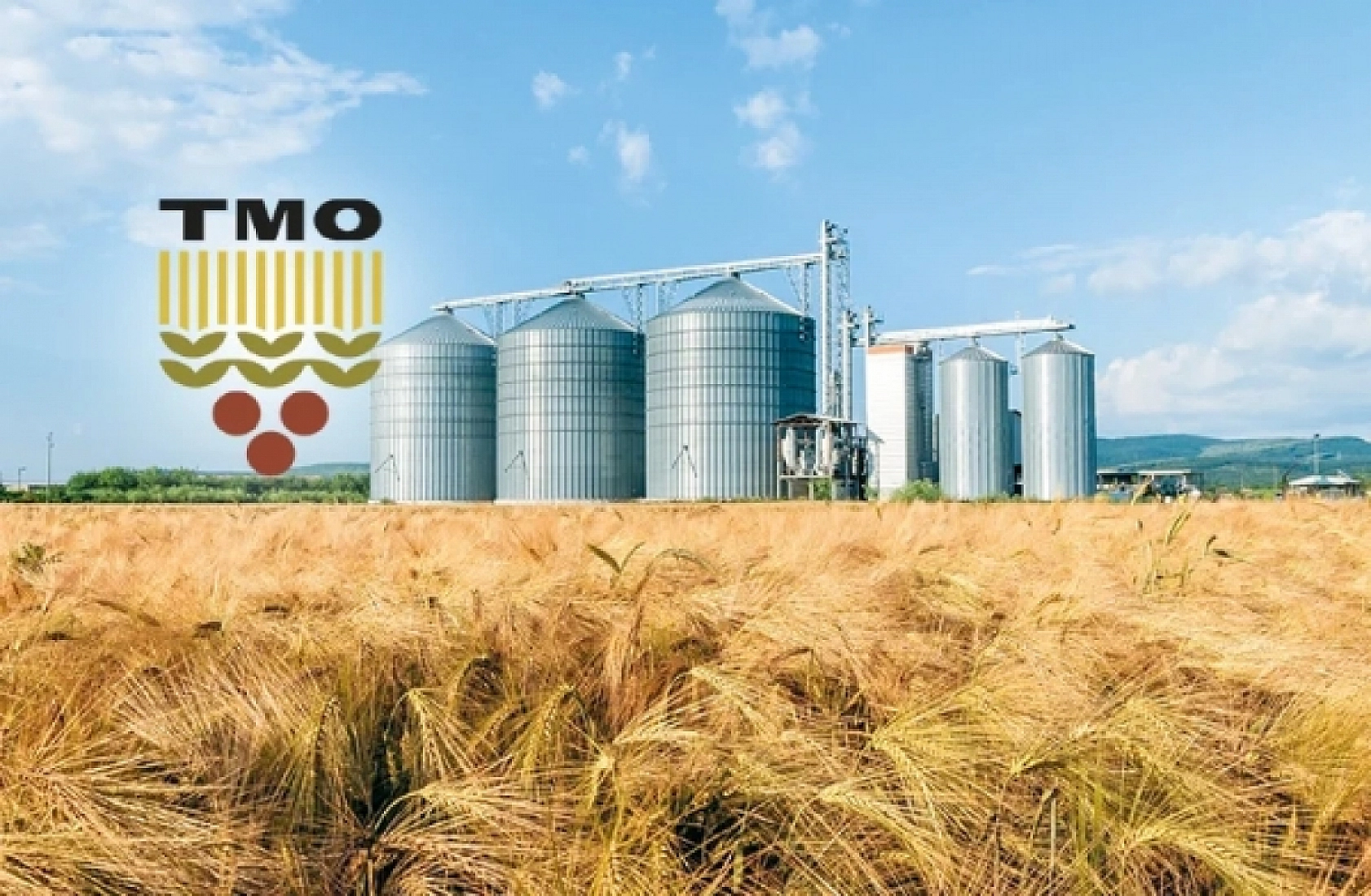 TMO ödemeleri başladı: Malatyalı üreticiye 1 milyar TL destek