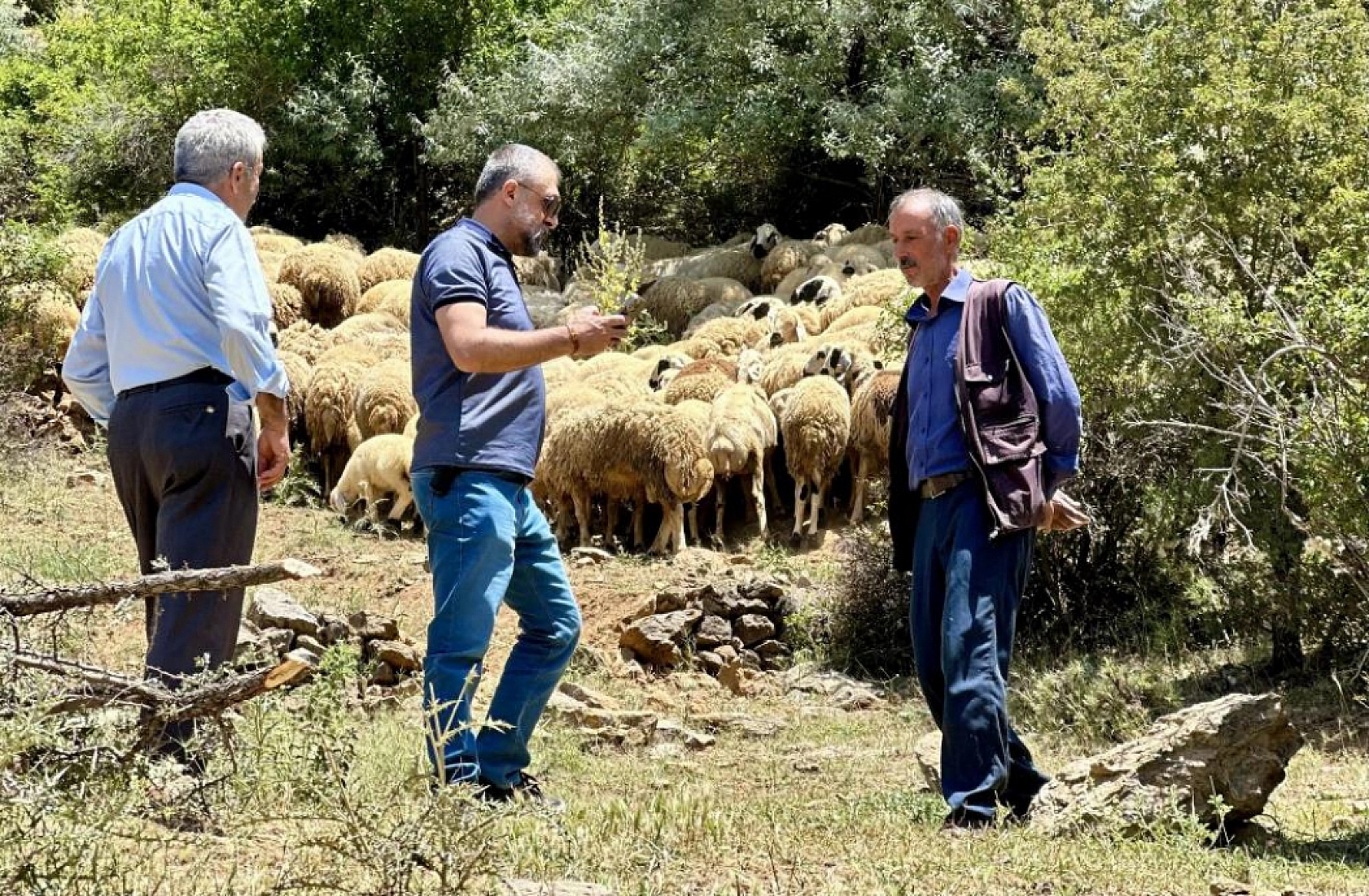 Malatya'da hayvancılığın zorlu yüzü: Elektriksiz, susuz üretiyorlar....!
