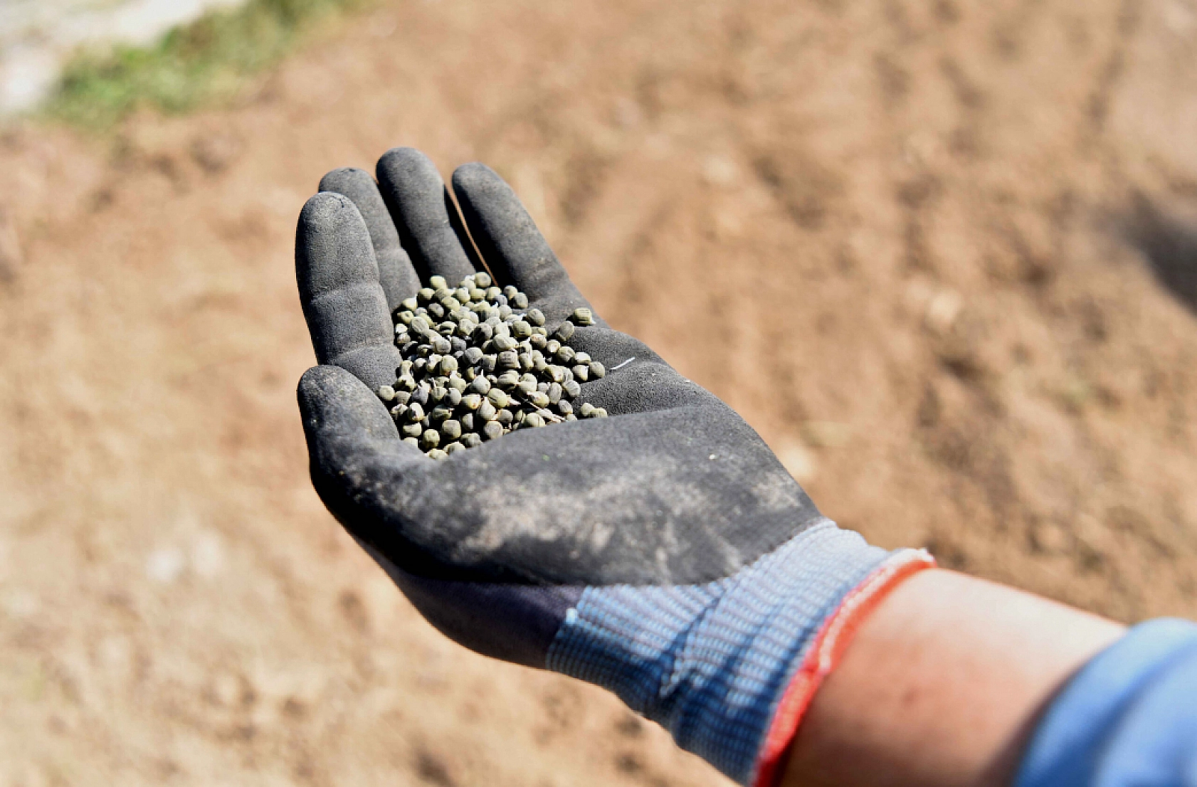 Malatyalılar Yaşadı! Yeni Dönem Başlıyor...