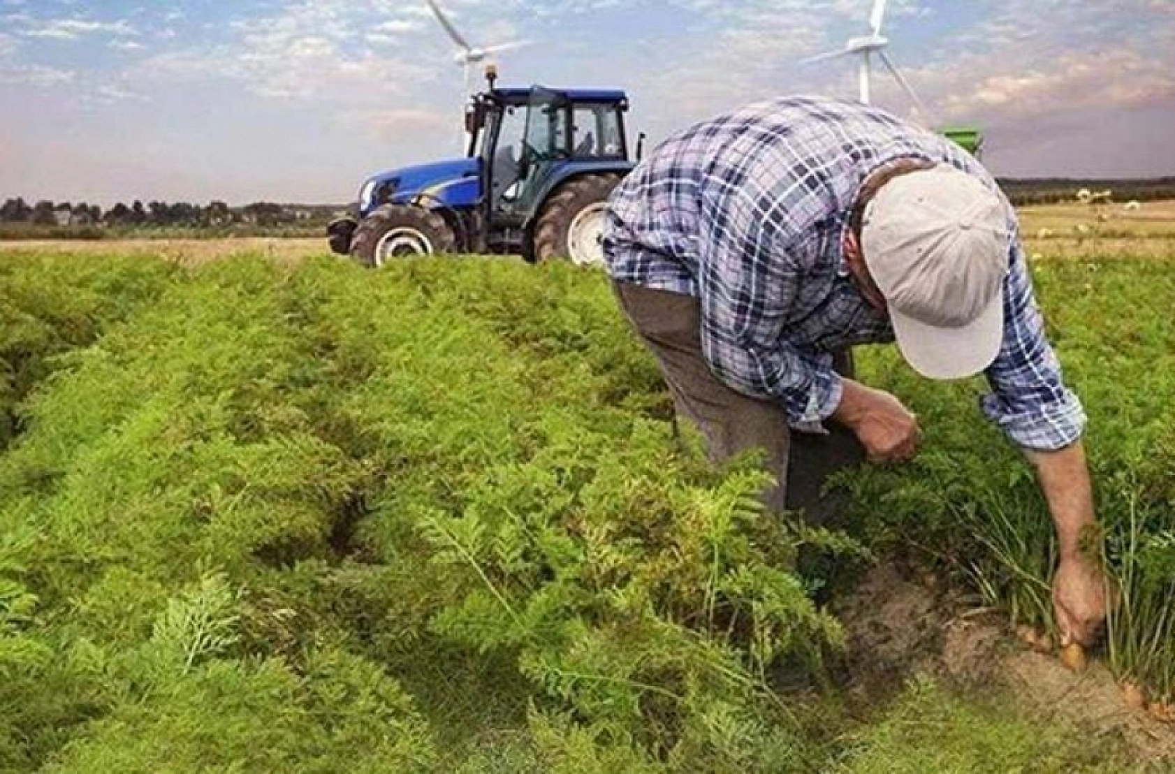 Malatya Çiftçisine Destek Yağmuru: Hesaplara 1 milyar 445 milyon 424 bin Lira Aktarılıyor…