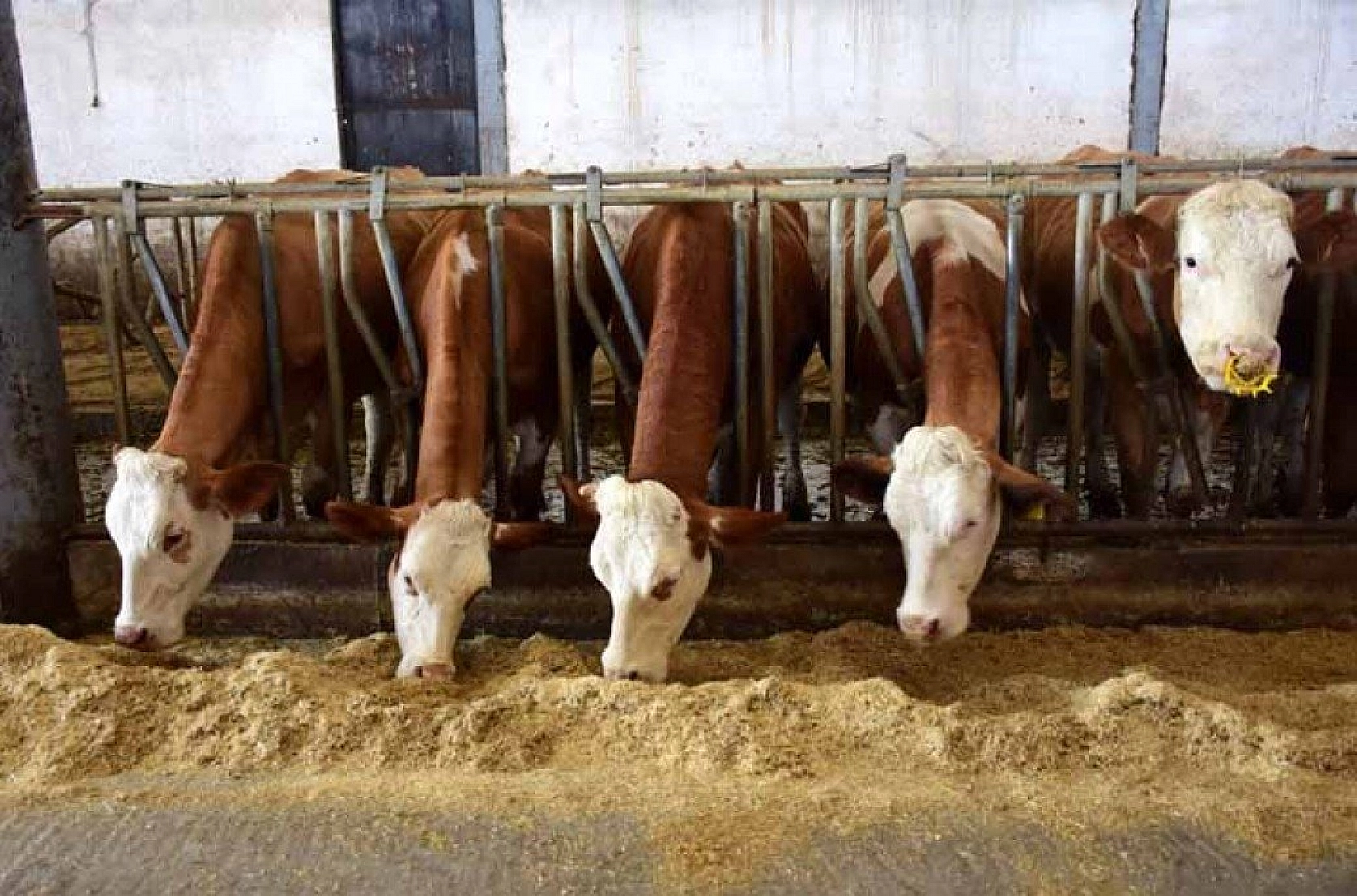 Muş'ta devlet desteğiyle 4,5 milyon liralık tesis