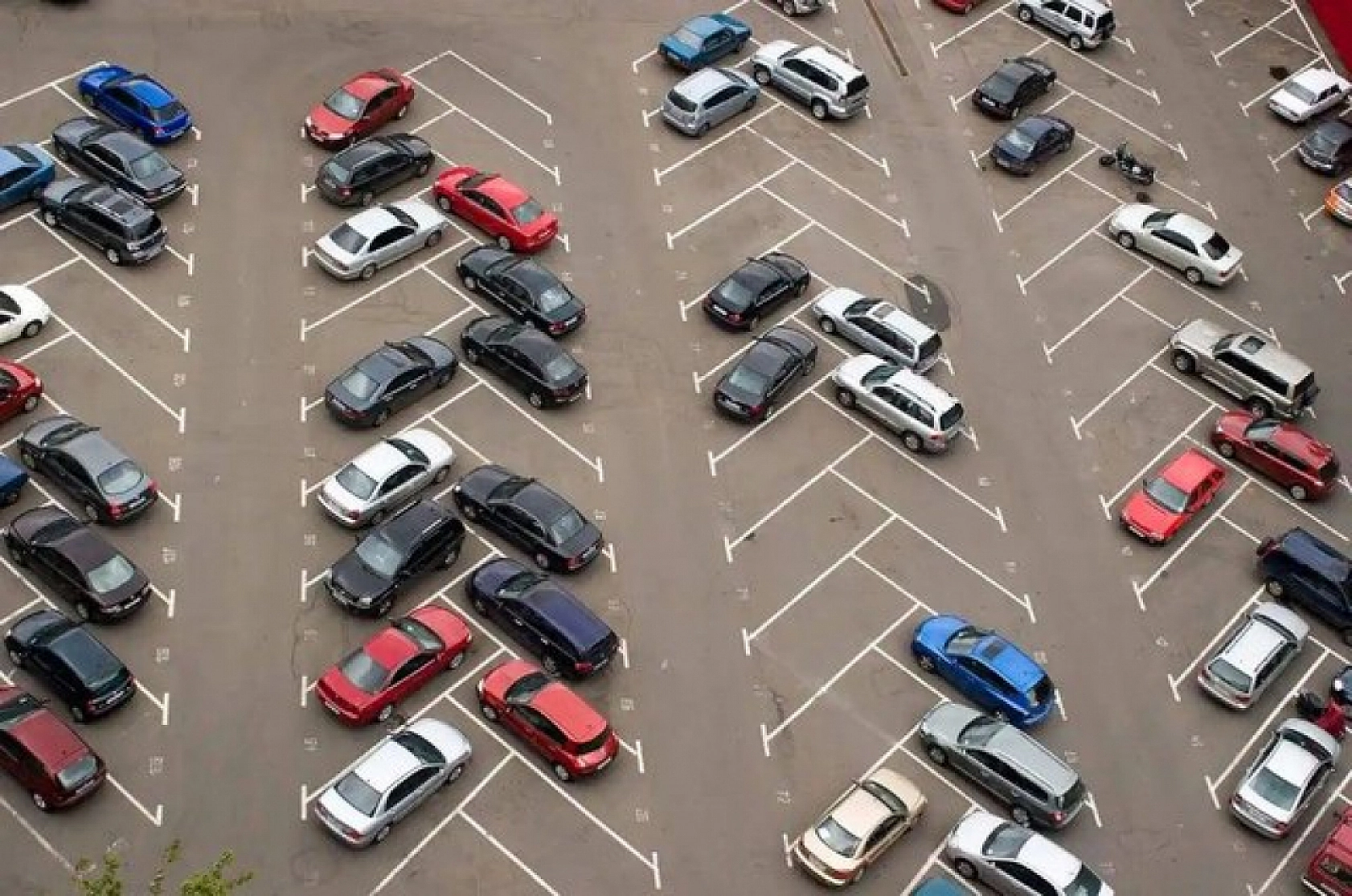 En Fazla O Markalar Tercih Edildi! Malatya'da Otomotivde Yeni Şampiyonlar Belli Oldu!