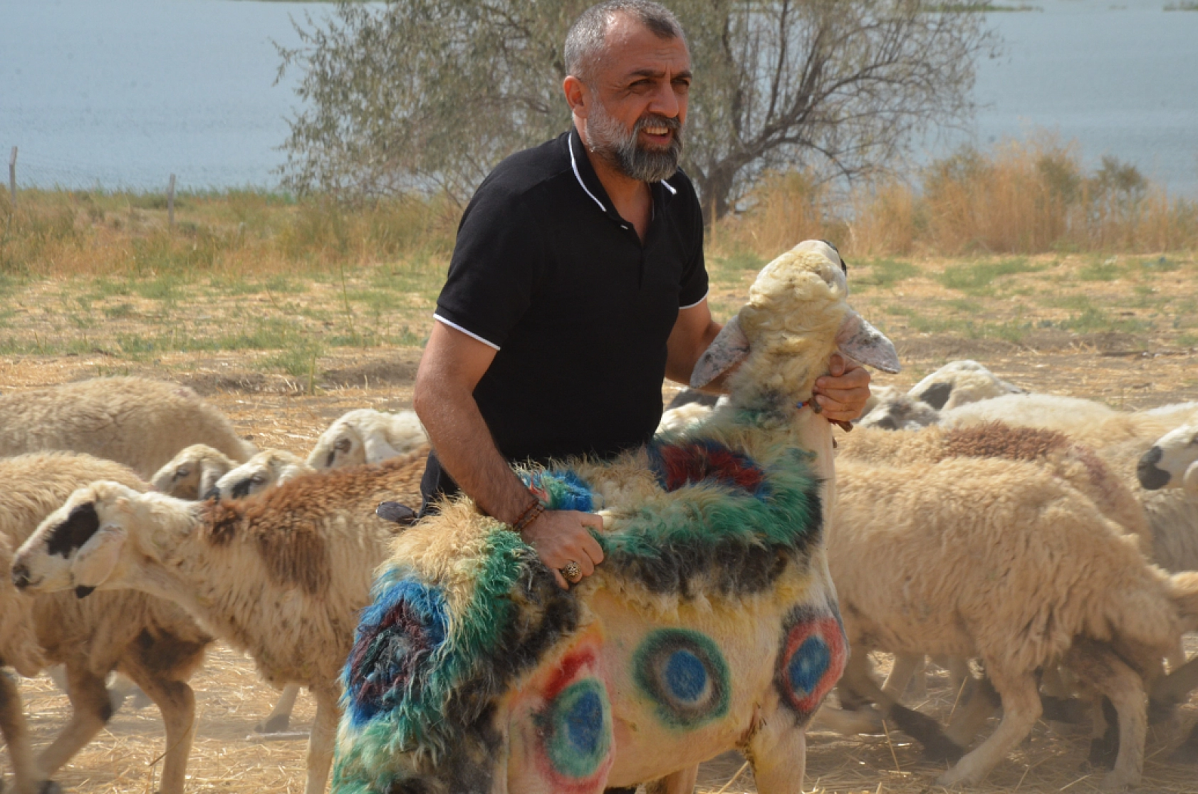 Malatya'da meralar yetersiz! Üretici sürüleri nerede otlatacak?