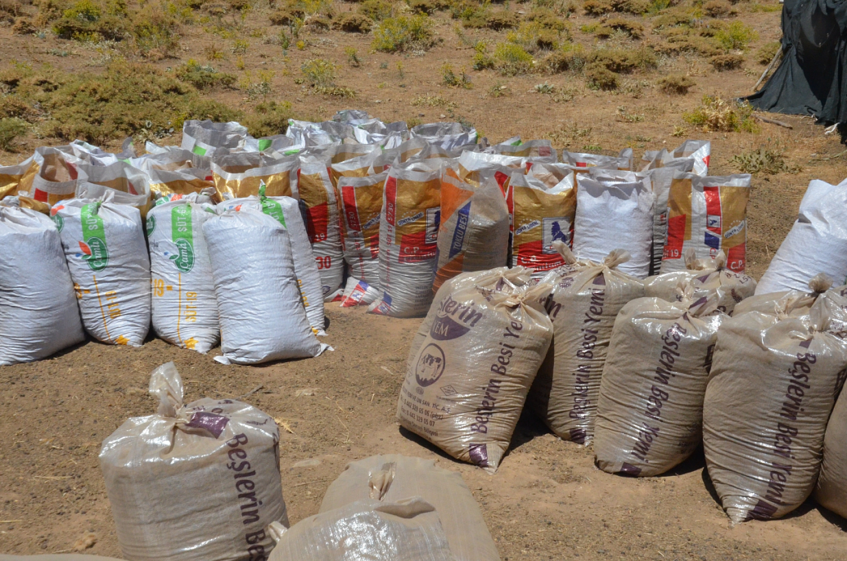 Malatya Yayladaki Çiftçilerin Ek Gelir Kapısı Haline Geldi...