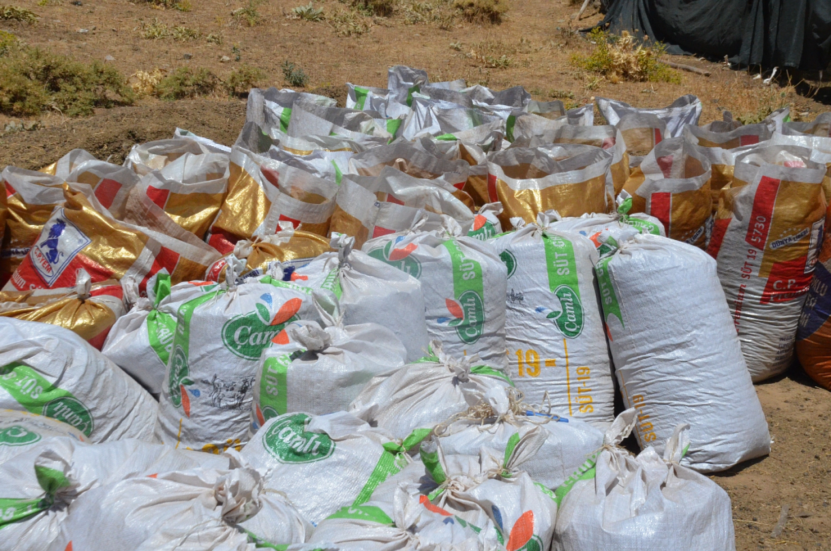 Malatya Yayladaki Çiftçilerin Ek Gelir Kapısı Haline Geldi...