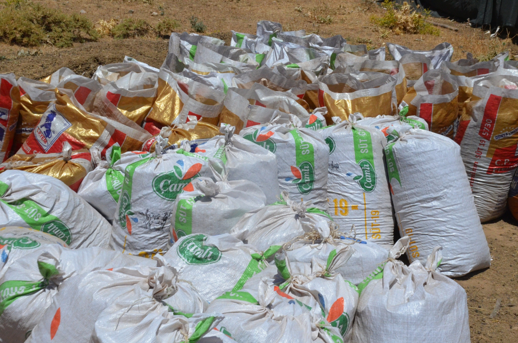 Malatya Yayladaki Çiftçilerin Ek Gelir Kapısı Haline Geldi...