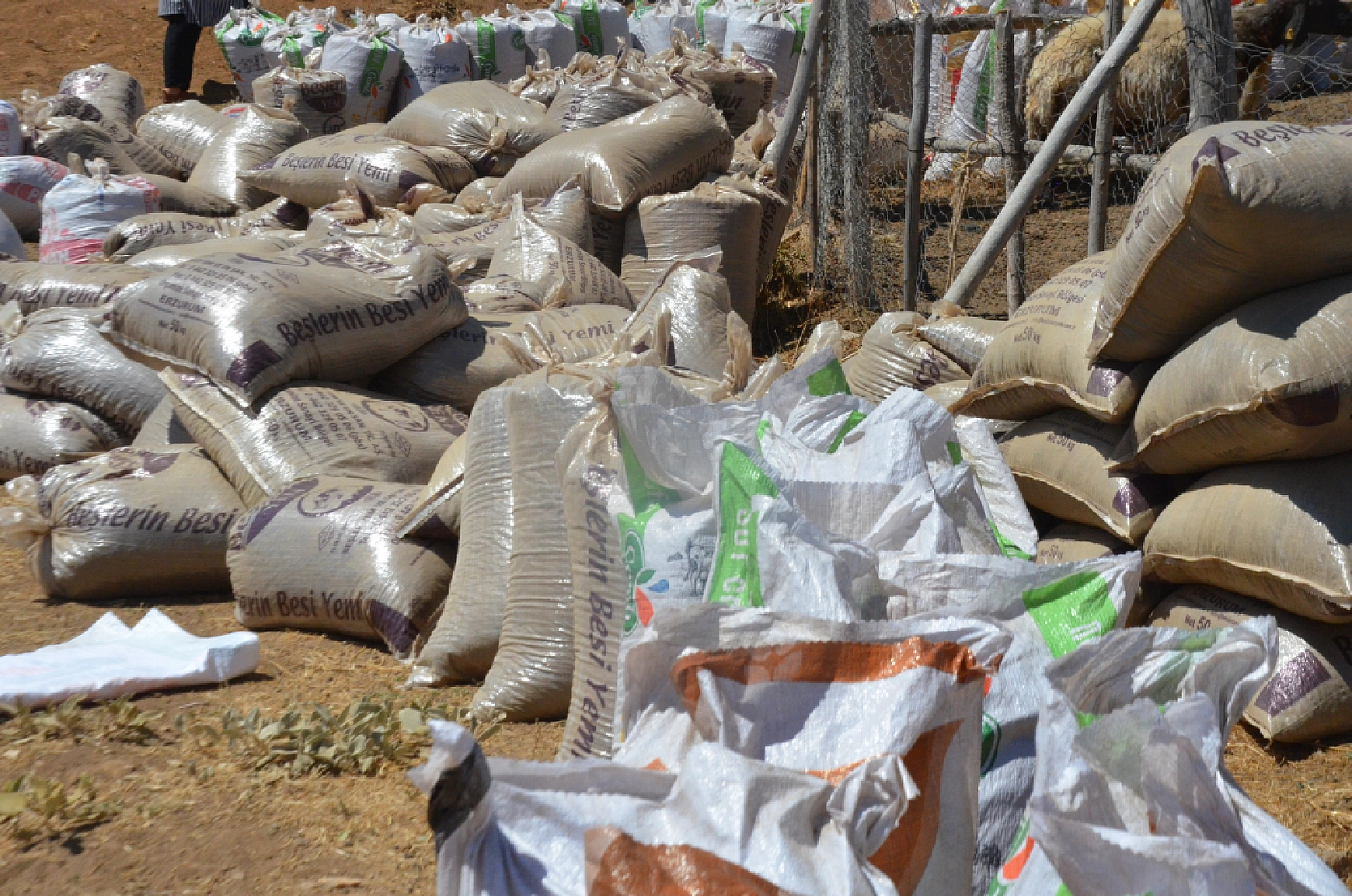 Malatya Yayladaki Çiftçilerin Ek Gelir Kapısı Haline Geldi...
