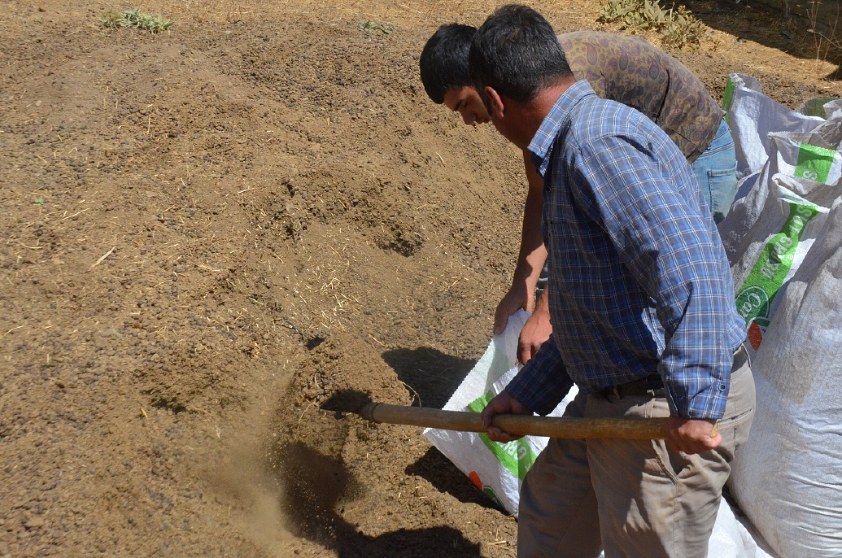 Malatya Yayladaki Çiftçilerin Ek Gelir Kapısı Haline Geldi...