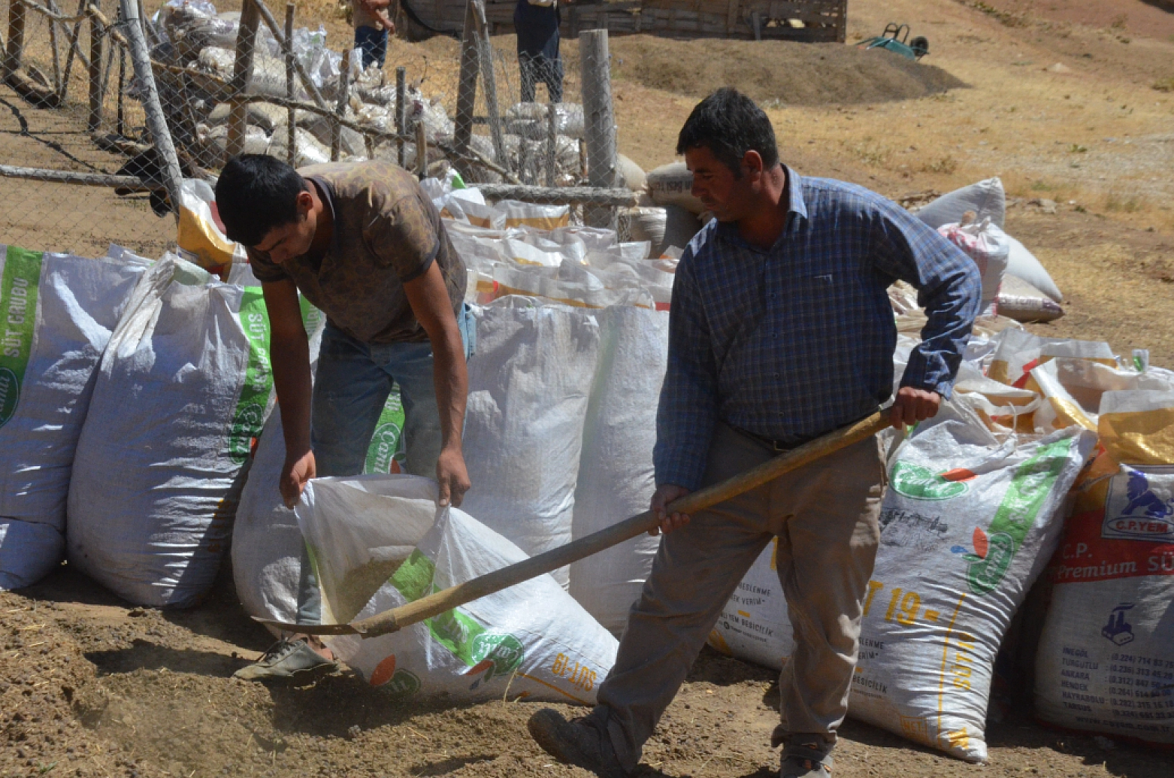 Malatya Yayladaki Çiftçilerin Ek Gelir Kapısı Haline Geldi...
