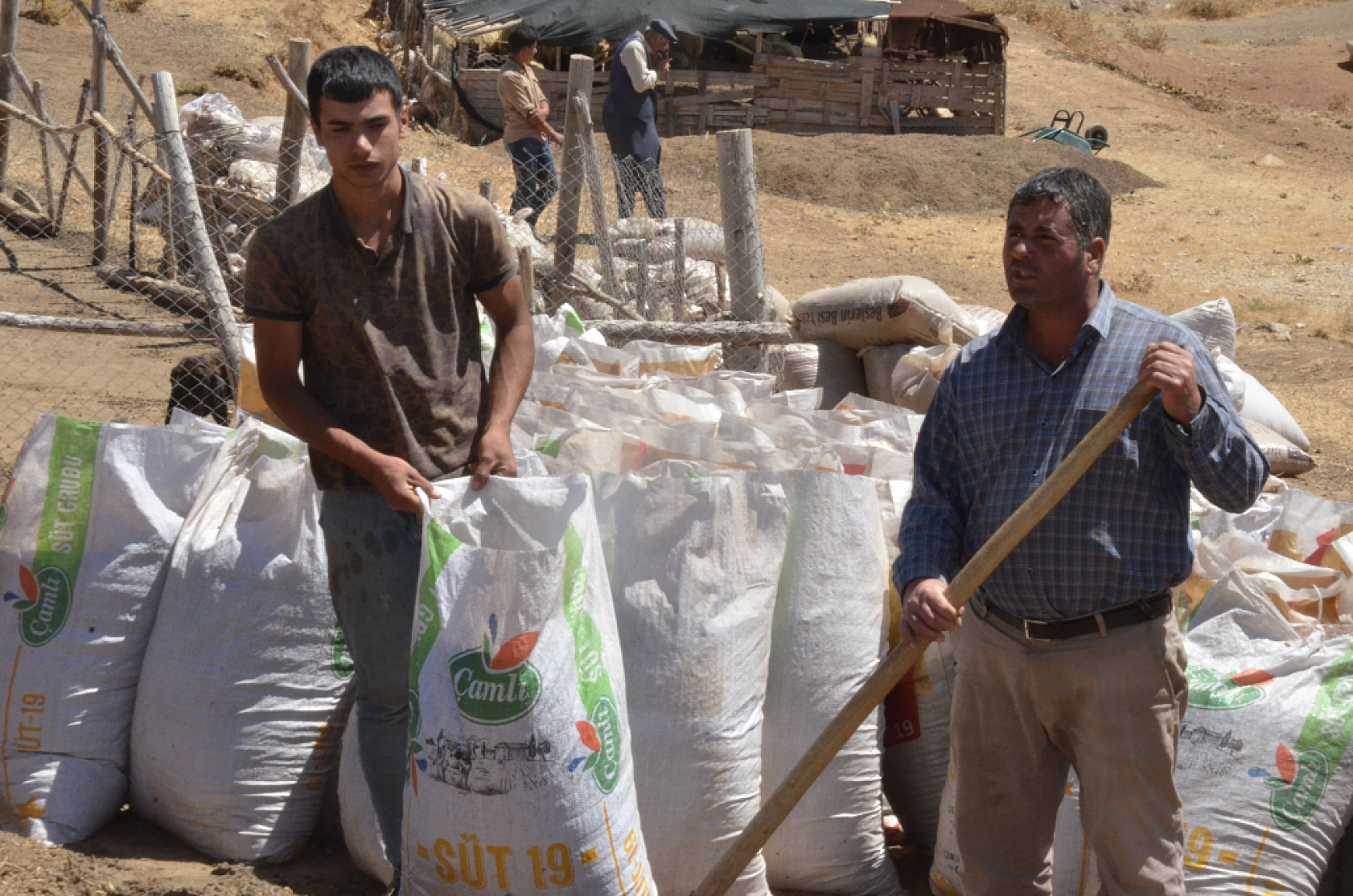 Malatya Yayladaki Çiftçilerin Ek Gelir Kapısı Haline Geldi...