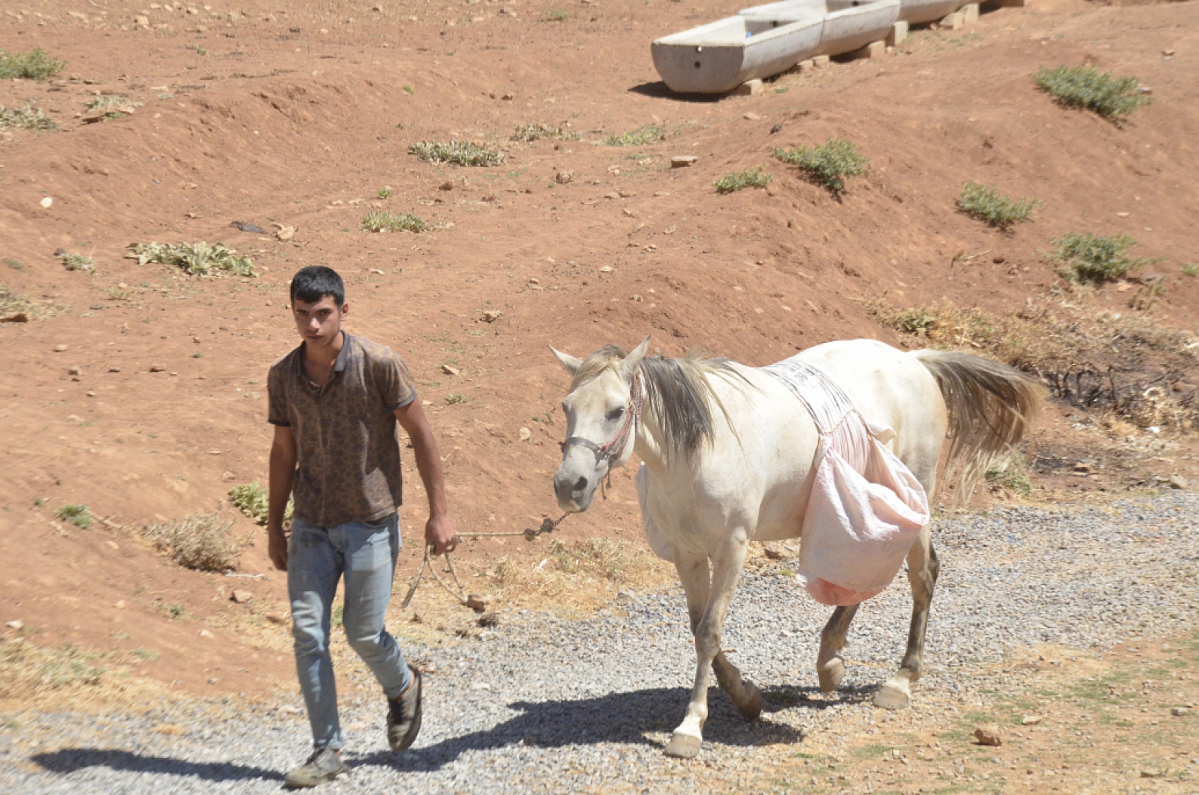Malatya'da Bürücek Yaylası'nda Üreticiler Zor Durumda..! İmkansızlığa Rağmen Üretim Yapıyorlar...
