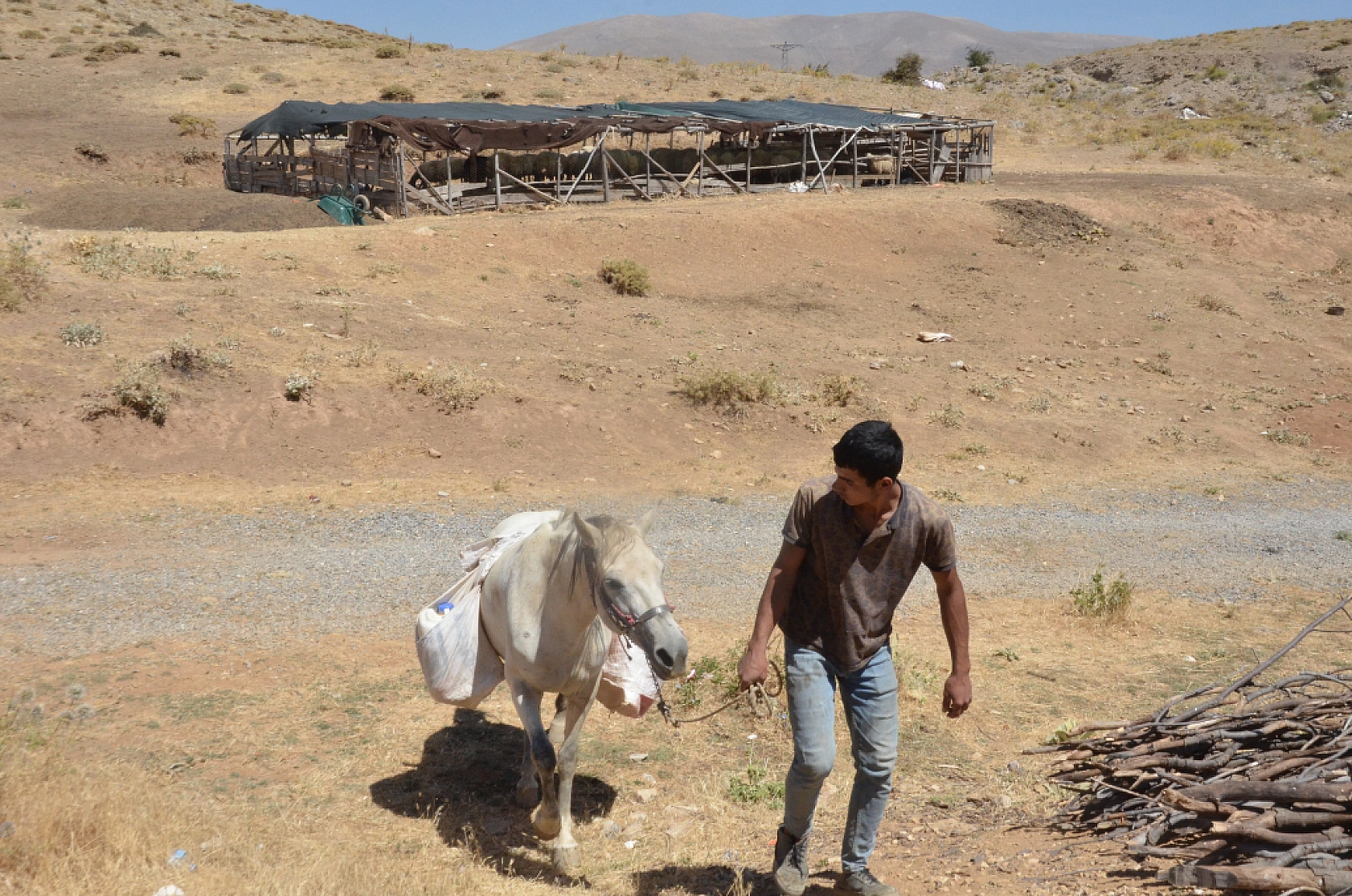 Malatya'da Bürücek Yaylası'nda Üreticiler Zor Durumda..! İmkansızlığa Rağmen Üretim Yapıyorlar...