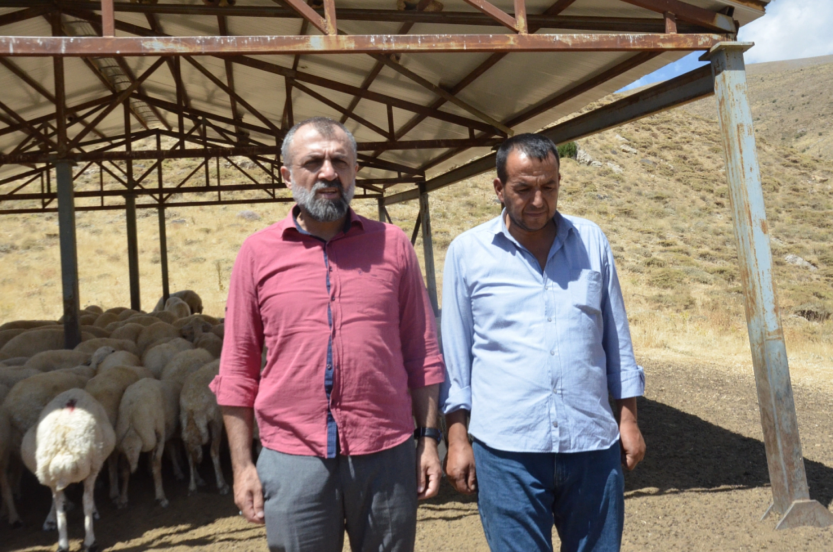 Malatya'da Yayladaki Çiftçiler Üretiyor! Ancak Aradaki Aracılar 2 Katına Satıyor...